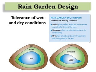 Tolerance of wet
and dry conditions
Rain Garden Design
 