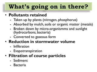 What’s going on in there?
• Pollutants retained
- Taken up by plants (nitrogen, phosphorus)
- Absorbed by mulch, soils or organic matter (metals)
- Broken down by micro-organismms and sunlight
(hydrocarbons, bacteria)
- Converted to gaseous form
• Reduction in stormwater volume
- Infiltration
- Evapotranspiration
• Filtration of course particles
- Sediment
- Bacteria
 