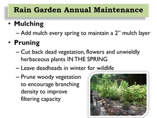 • Mulching
– Add mulch every spring to maintain a 2” mulch layer
• Pruning
– Cut back dead vegetation, flowers and unwieldly
herbaceous plants IN THE SPRING
– Leave deadheads in winter for wildlife
– Prune woody vegetation
to encourage branching
density to improve
filtering capacity
Rain Garden Annual Maintenance
 
