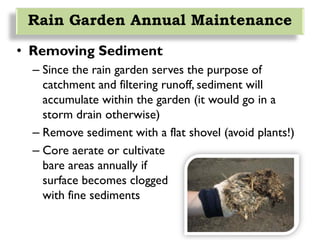 Rain Garden Annual Maintenance
• Removing Sediment
– Since the rain garden serves the purpose of
catchment and filtering runoff, sediment will
accumulate within the garden (it would go in a
storm drain otherwise)
– Remove sediment with a flat shovel (avoid plants!)
– Core aerate or cultivate
bare areas annually if
surface becomes clogged
with fine sediments
 