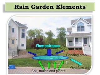 Rain Garden Elements
 