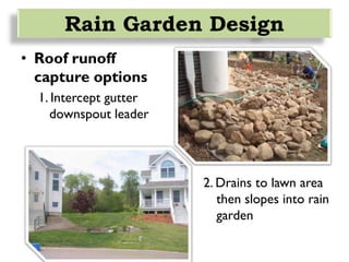 • Roof runoff
capture options
1. Intercept gutter
downspout leader
Rain Garden Design
2. Drains to lawn area
then slopes into rain
garden
 