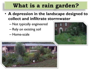 Designing and Installing A Rain Garden