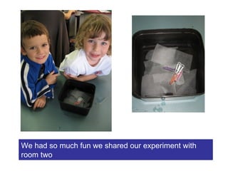 We had so much fun we shared our experiment with room two 