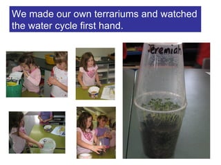 We made our own terrariums and watched the water cycle first hand. 
