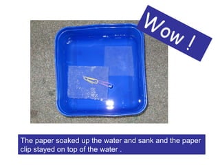 The paper soaked up the water and sank and the paper clip stayed on top of the water . Wow ! 