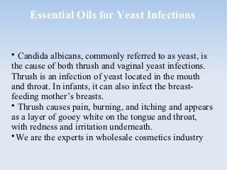 Essential Oils for Yeast Infections



  Candida albicans, commonly referred to as yeast, is
the cause of both thrush and vaginal yeast infections.
Thrush is an infection of yeast located in the mouth
and throat. In infants, it can also infect the breast-
feeding mother’s breasts.

  Thrush causes pain, burning, and itching and appears
as a layer of gooey white on the tongue and throat,
with redness and irritation underneath.

  We are the experts in wholesale cosmetics industry
 