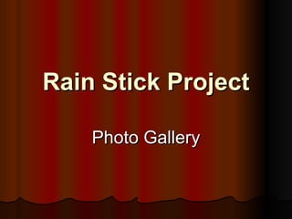 Rain Stick Project Photo Gallery 