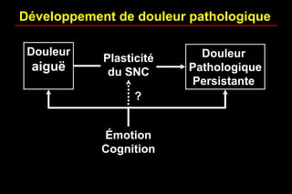 Développement de douleur pathologique
Douleur
aiguë
Douleur
Pathologique
Persistante
Plasticité
du SNC
Émotion
Cognition
?
 