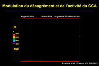 Rainville et al., Science, vol. 277 (1997)
Modulation du désagrément et de l’activité du CCA
Augmentation Diminution Augmentation - Diminution
 