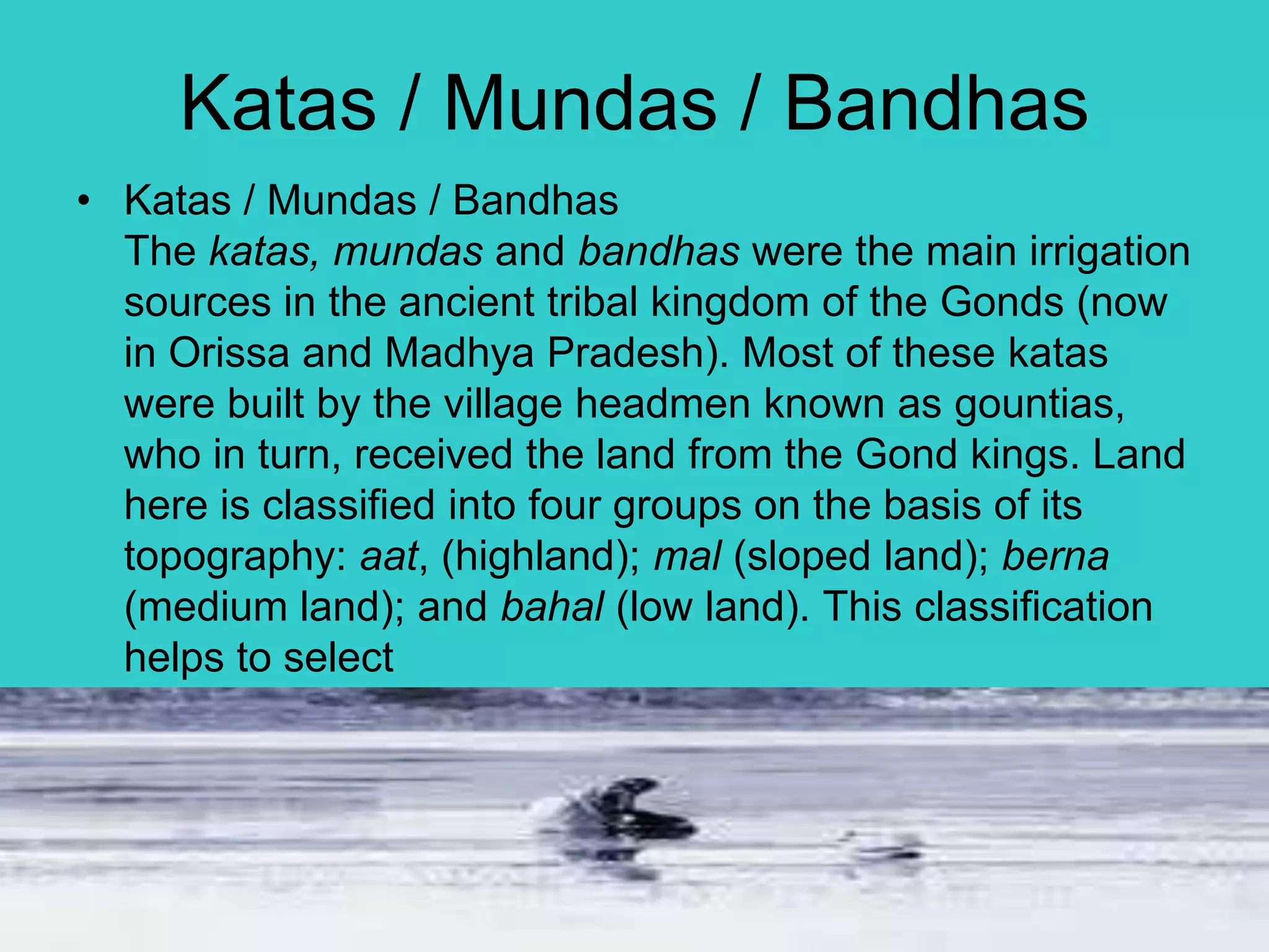 Human activity and grazing of cattle in the area is prohibited