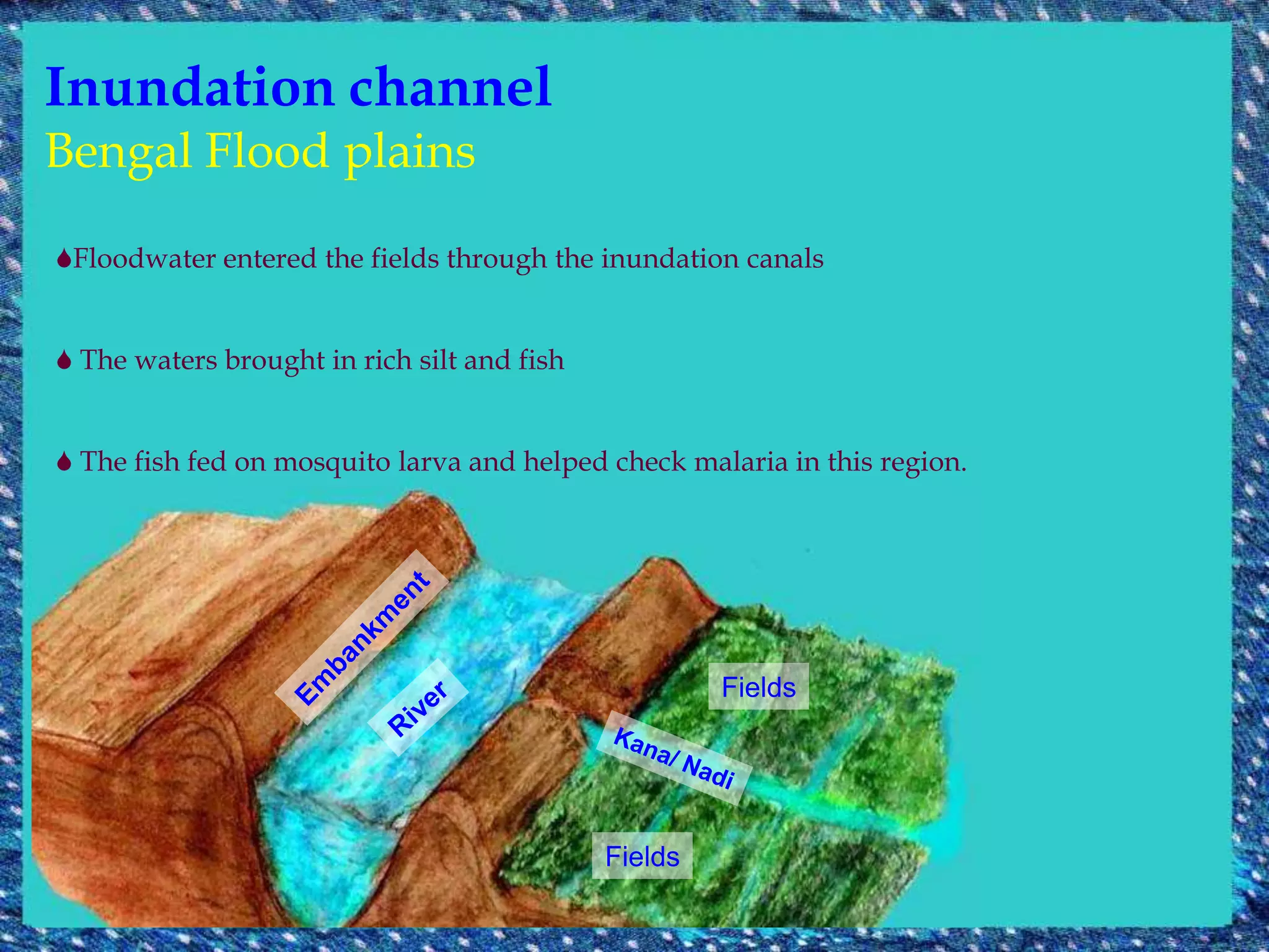 Viable in urban and rural areas, slums, low income housing, apartments..