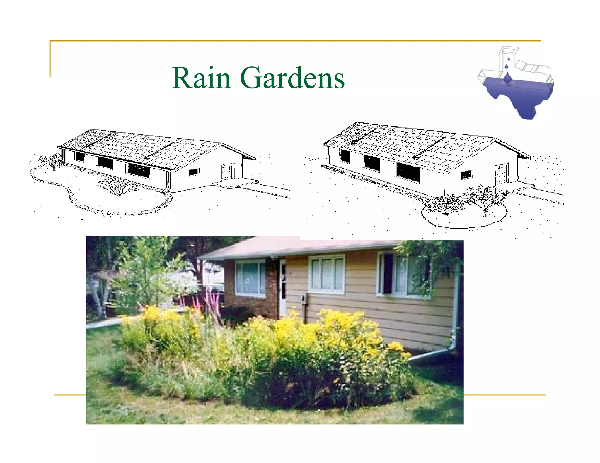 Rain Gardens
 