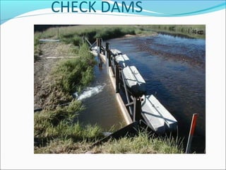 rainwater-harvesting-ppt