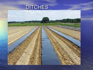 DITCHESDITCHES
 