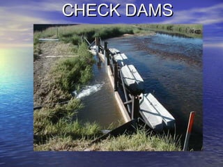 CHECK DAMSCHECK DAMS
 