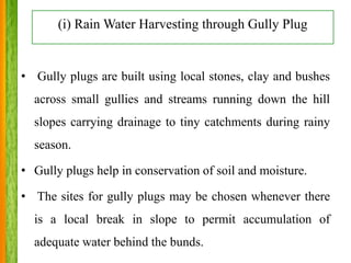 Rainwater harvesting | PPTX