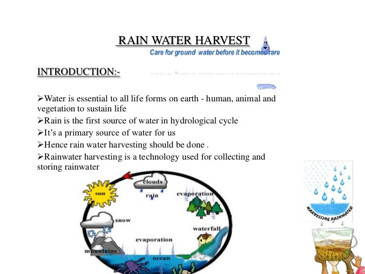 Rain water harvesting