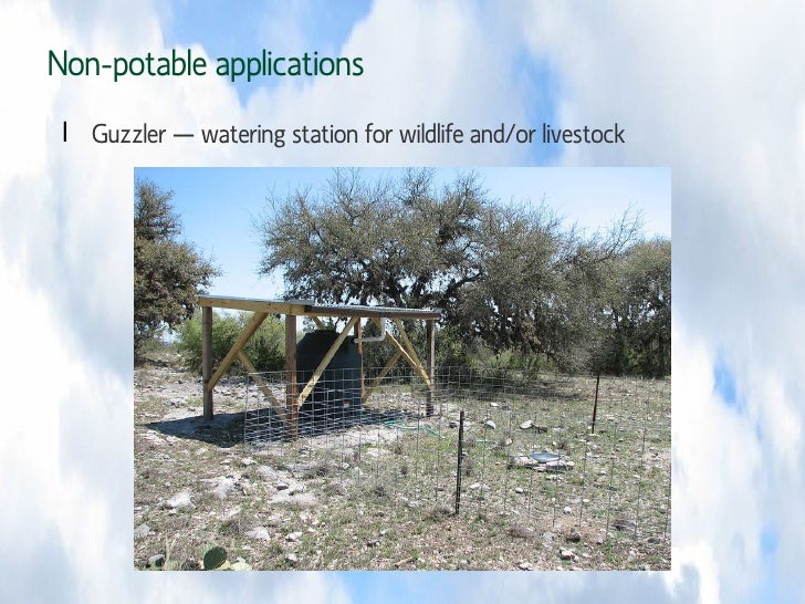 Rainwater harvesting102611
