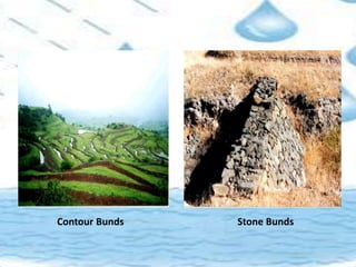 Contour Bunds Stone Bunds
 