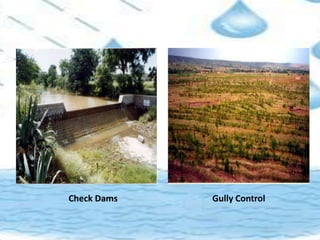 Check Dams Gully Control
 
