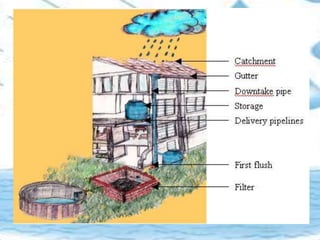 harvesting watershed rainwater