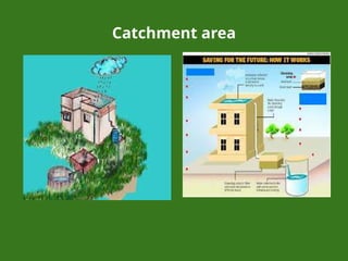 Catchment area
 