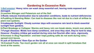 Gardening In Excessive Rain
1-Soil erosion: Heavy rains can wash away essential soil, leaving roots exposed and
damaged.
2-Leaches Nitrogen and Potassium out of the Soil
3-Roots reduces translocation due to saturation conditions, leads to nutrient deficiencies
4-Puddling & Standing Water: Can lead to diseases like root rot due to a lack of airflow to
plant root systems.
5-Inadequate Sunlight: Cloudy summer days with excessive rain tend to block essential
sunlight from gardens.
6-Plant Breakage or Collapse: Storms and heavy rain can break stems, knock over plants.
7-Fungal diseases: Molds love damp conditions, and once they start, they’re hard to stop.
However ,Powdery mildew get washed during rains but flourish after rains, vigorously.
8-Increase in Slug Population: and beer traps,putting salts do not work during rains.-
spread mint leaves.
9-Lack of Gardeners’ Keen Eye on the Garden
10-Cracked Fruits: Too much garden rain all at once can result in split tomatoes that
burst at the seams.
 