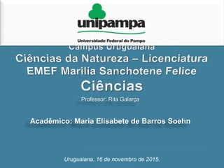 Professor: Rita Galarça
Acadêmico: Maria Elisabete de Barros Soehn
Uruguaiana, 16 de novembro de 2015.
 