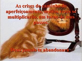 As crises do caminho de aperfeiçoamento, muitas vezes se multiplicarão, em torno de teus passos. Deus jamais te abandonará   