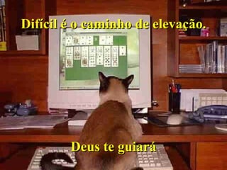 Difícil é o caminho de elevação. Deus te guiará 