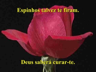 Espinhos talvez te firam. Deus saberá curar-te. 