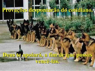 Provações despontarão do cotidiano. Deus te apoiará, a fim de que possas vencê-las. 