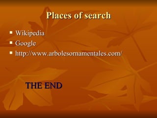Places of search Wikipedia Google http://www.arbolesornamentales.com/ THE END 