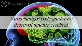 www.raisdata.com/blog
Vírus “amigo” pode ajudar no
desenvolvimento cerebral.
 