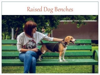Raised Dog Benches
 