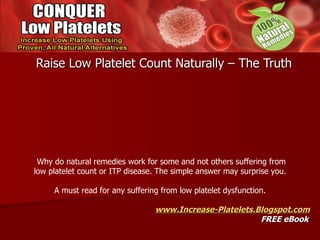Raise Low Platelet Count Naturally – The Truth www.Increase-Platelets.Blogspot.com FREE eBook Why do natural remedies work for some and not others suffering from low platelet count or ITP disease. The simple answer may surprise you.  A must read for any suffering from low platelet dysfunction.  