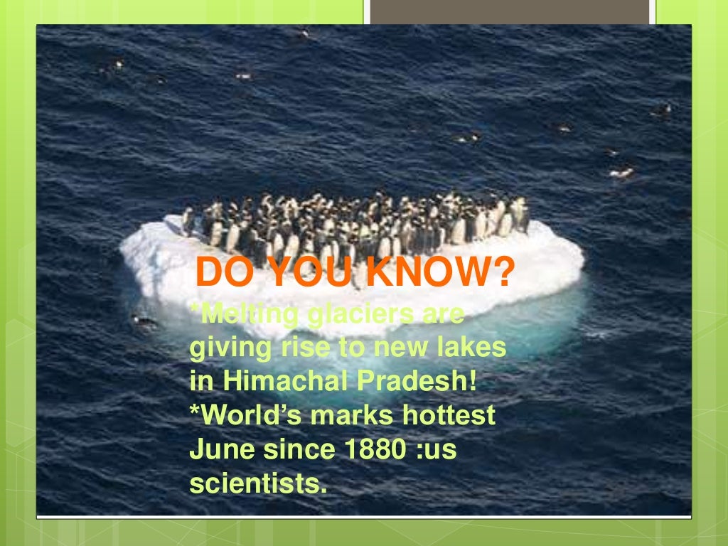 Florida underwater image