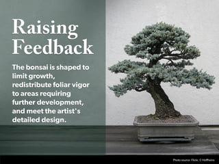 Raising
Feedback
The bonsai is shaped to
limit growth,
redistribute foliar vigor
to areas requiring
further development,
and meet the artist's
detailed design.




                            Photo source: Flickr, © Hoffheins
 