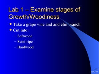 Lab 1 – Examine stages of Growth/Woodiness Take a grape vine and and elm branch Cut into:  Softwood Semi-ripe Hardwood 