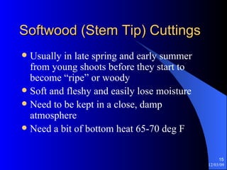 Softwood (Stem Tip) Cuttings Usually in late spring and early summer from young shoots before they start to become “ripe” or woody Soft and fleshy and easily lose moisture Need to be kept in a close, damp atmosphere Need a bit of bottom heat 65-70 deg F 