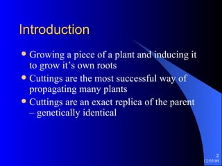 Introduction Growing a piece of a plant and inducing it to grow it’s own roots Cuttings are the most successful way of propagating many plants Cuttings are an exact replica of the parent – genetically identical 
