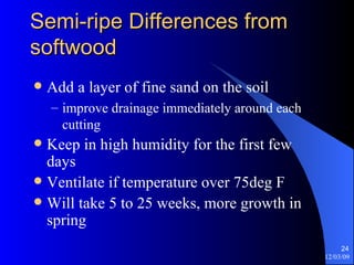 Semi-ripe Differences from softwood Add a layer of fine sand on the soil  improve drainage immediately around each cutting Keep in high humidity for the first few days Ventilate if temperature over 75deg F Will take 5 to 25 weeks, more growth in spring 