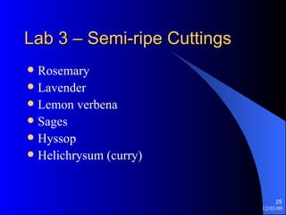 Lab 3 – Semi-ripe Cuttings Rosemary Lavender Lemon verbena Sages Hyssop Helichrysum (curry) 