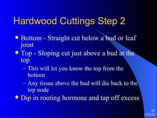 Hardwood Cuttings Step 2 Bottom - Straight cut below a bud or leaf joint Top - Sloping cut just above a bud at the top This will let you know the top from the bottom Any tissue above the bud will die back to the top node Dip in rooting hormone and tap off excess  