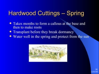 Hardwood Cuttings – Spring Takes months to form a callous at the base and then to make roots Transplant before they break dormancy Water well in the spring and protect from the sun 
