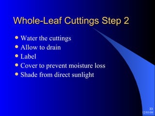 Whole-Leaf Cuttings Step 2 Water the cuttings Allow to drain Label Cover to prevent moisture loss Shade from direct sunlight 