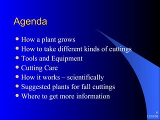 Agenda How a plant grows How to take different kinds of cuttings Tools and Equipment Cutting Care How it works – scientifically Suggested plants for fall cuttings Where to get more information 