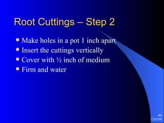 Root Cuttings – Step 2 Make holes in a pot 1 inch apart Insert the cuttings vertically  Cover with ½ inch of medium Firm and water 
