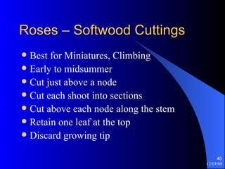 Roses – Softwood Cuttings Best for Miniatures, Climbing Early to midsummer Cut just above a node Cut each shoot into sections Cut above each node along the stem Retain one leaf at the top Discard growing tip 